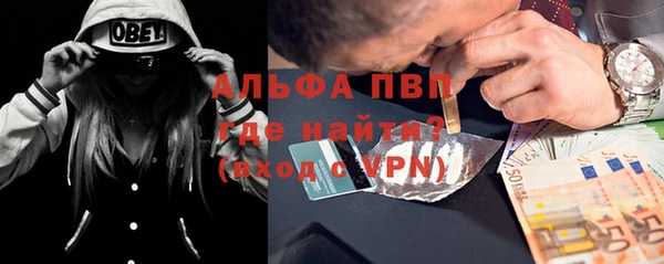 PSILOCYBIN Вязники