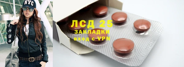 PSILOCYBIN Вязники