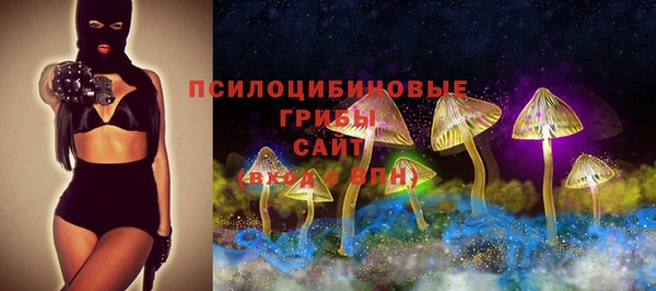 соль ск Гусиноозёрск
