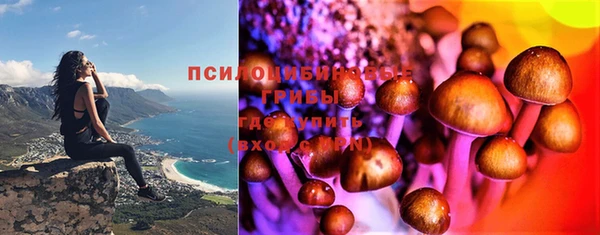 гидропоника Вязьма