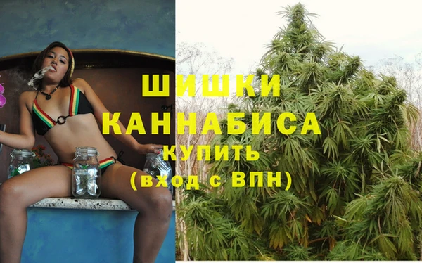 PSILOCYBIN Вязники