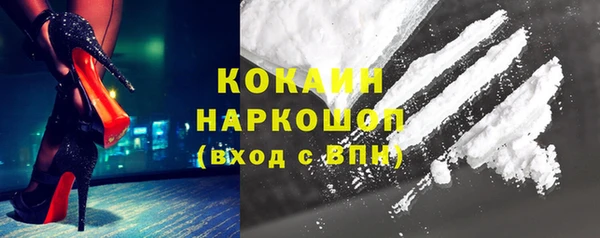 PSILOCYBIN Вязники