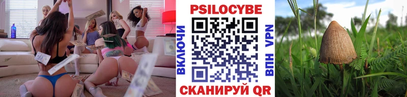 Купить закладки Первомайск Псилоцибиновые грибы прущие грибы